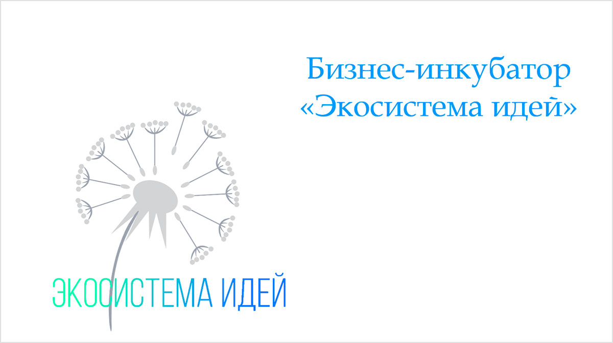 Бизнес-инкубатор «Экосистема идей»