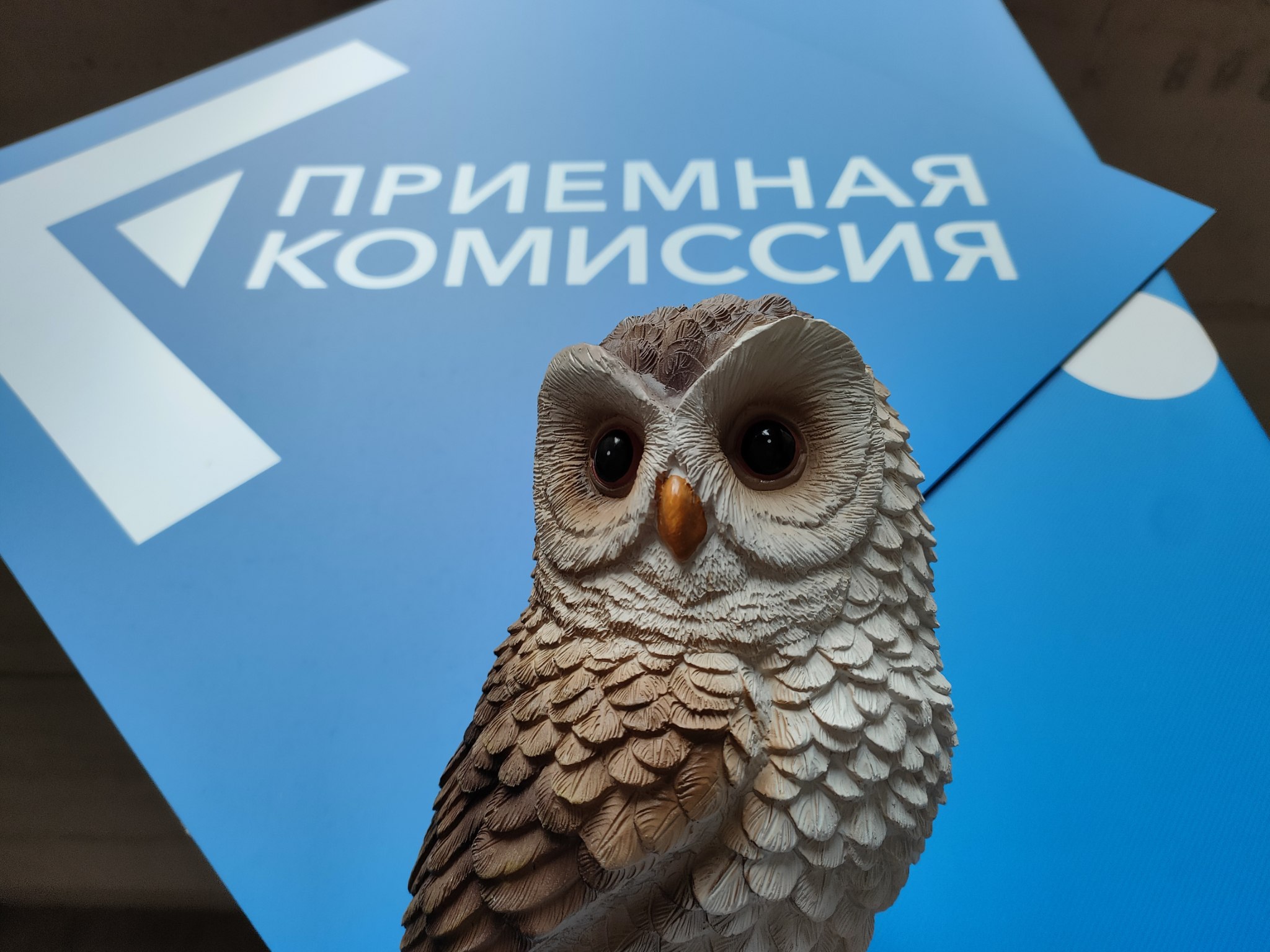 Приёмная комиссия